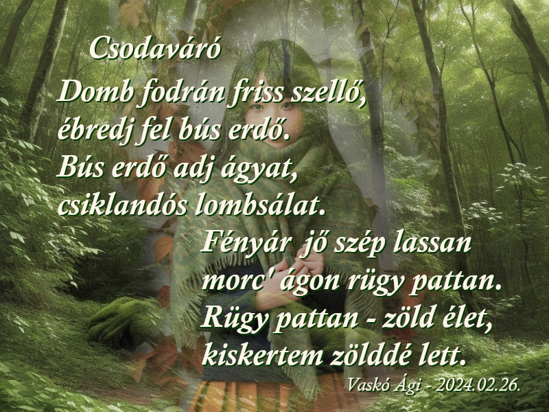 Vaskó Ági - Csodaváró