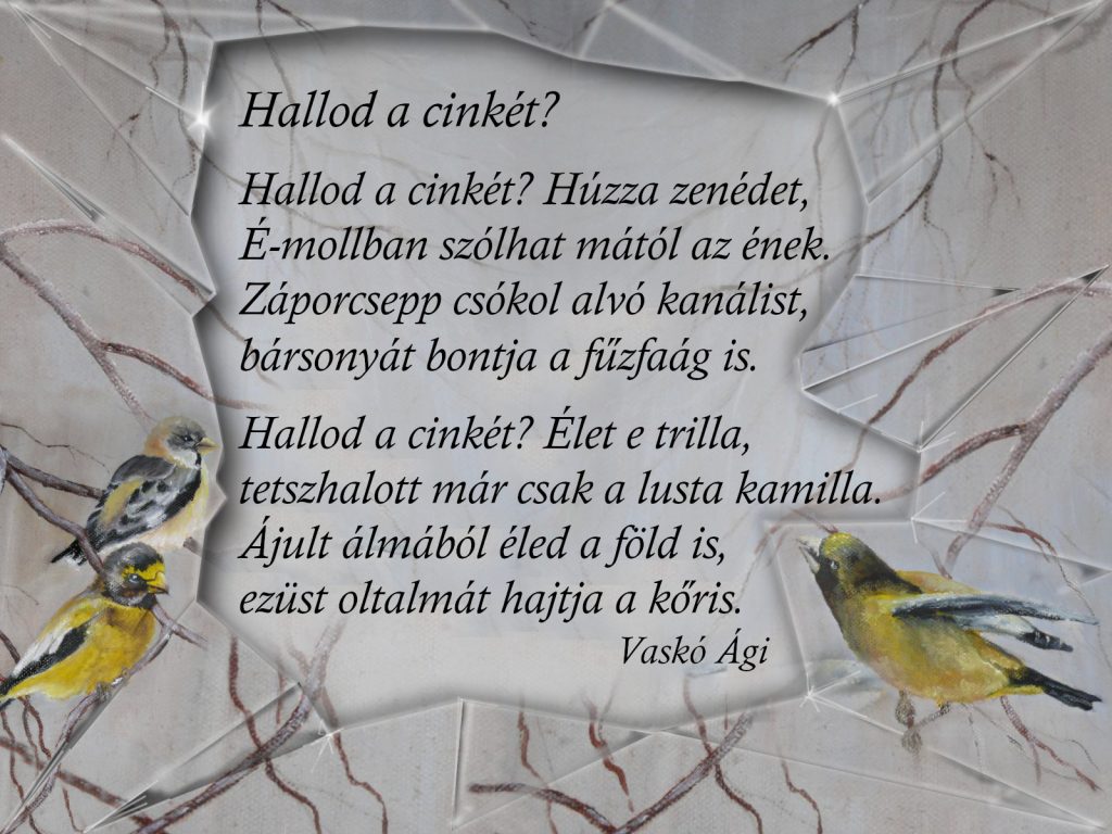 Vaskó Ági - Hallod a cinkét?